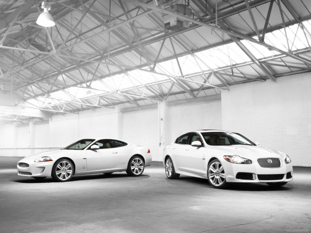 Обои картинки фото jaguar, xfr, 2010, автомобили