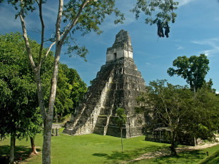 Картинка tikal guatemala города исторические архитектурные памятники