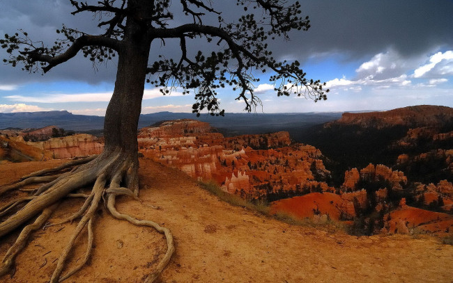 Обои картинки фото bryce, canyon, utah, природа, горы