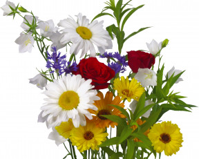 Картинка цветы букеты композиции календула васильки ромашки