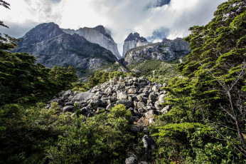 Картинка природа горы лес камни облака