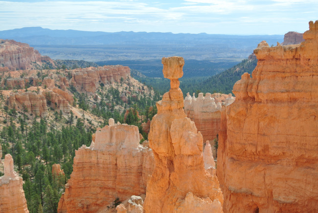Обои картинки фото bryce, canyon, utah, природа, горы, сша, скалы, пики, каменный, гриб, каньон