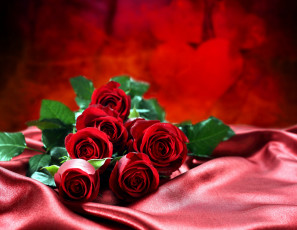 Картинка цветы розы шелк бутоны красный