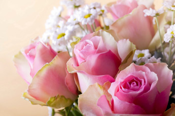 Картинка цветы букеты +композиции розы букет ромашки