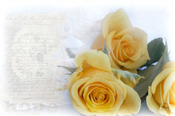 Картинка цветы розы винтаж текстура желтый
