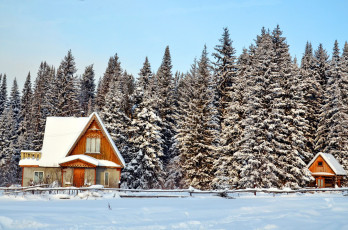 Картинка природа зима ели снег дома деревня