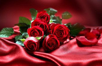 обоя цветы, розы, бутоны, шелк, красный