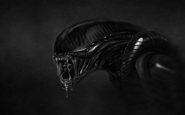 Картинка Чужой фэнтези существа alien чужой хищник пришелец