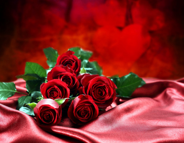 Обои картинки фото цветы, розы, шелк, бутоны, красный