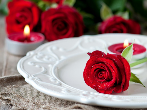Обои картинки фото цветы, розы, тарелка, свечи, капли