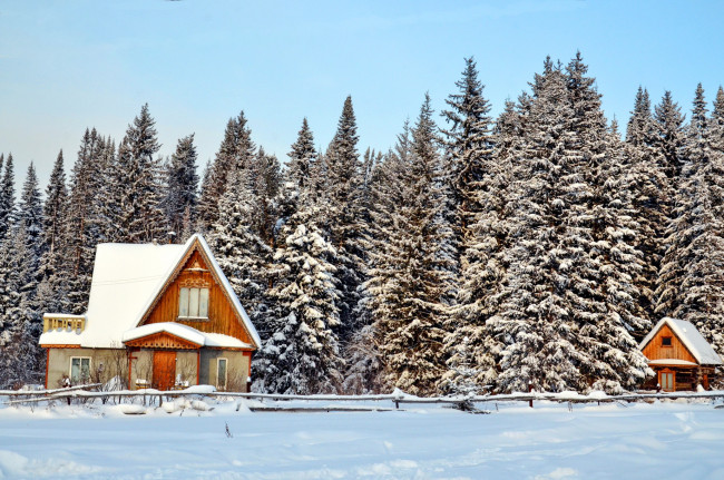 Обои картинки фото природа, зима, ели, снег, дома, деревня