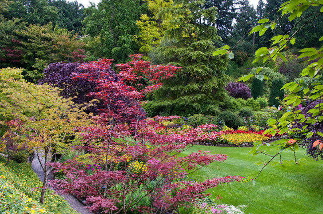 Обои картинки фото butchart gardens canada, природа, парк, дорожки, цветы, канада, сад, деревья, кусты