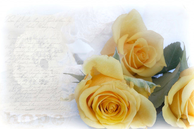 Обои картинки фото цветы, розы, винтаж, текстура, желтый