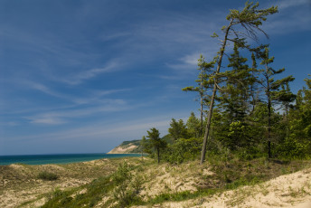 Картинка природа побережье песок трава деревья небо море берег