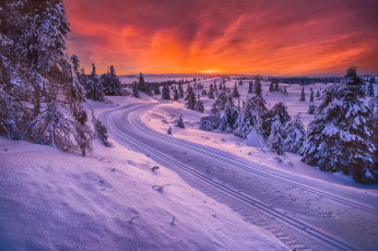 Картинка природа зима норвегия санный путь дорога