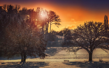 Картинка природа зима деревья дома солнце обработка