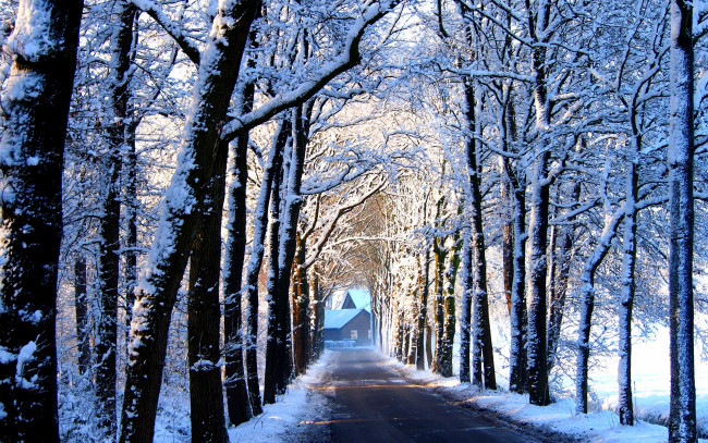 Обои картинки фото природа, дороги, зима, аллея, деревья, дорога, снег, дом