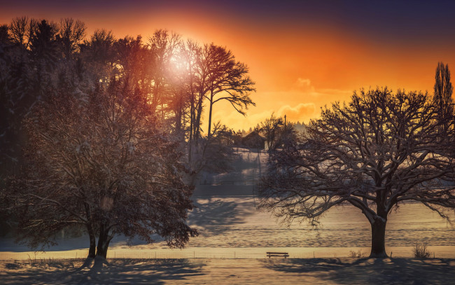 Обои картинки фото природа, зима, деревья, дома, солнце, обработка