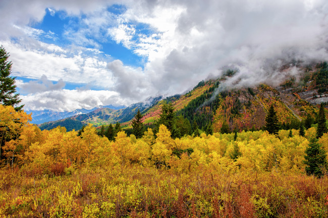 Обои картинки фото природа, горы, облака, лес, осень