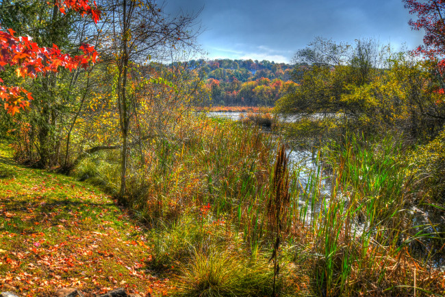 Обои картинки фото природа, реки, озера, краски, река, осень, лес