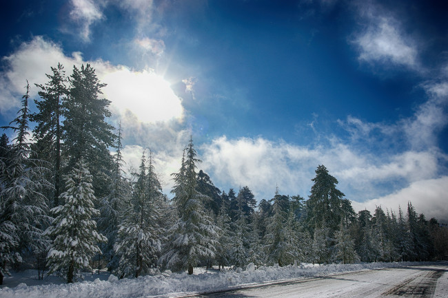 Обои картинки фото природа, зима, ели, снег, дорога