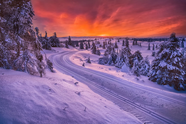 Обои картинки фото природа, зима, норвегия, санный, путь, дорога