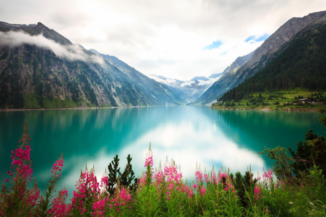 Обои картинки фото природа, реки, озера, горы, берег, озеро, река, цветы, облака