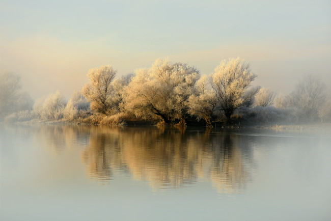 Обои картинки фото природа, реки, озера, иней, деревья, первый, снег, река, зима