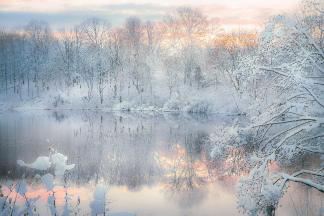 Обои картинки фото природа, зима, отражение, озеро, вечер, снег, лес
