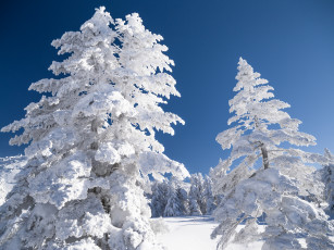 Картинка природа зима пейзаж небо снег деревья
