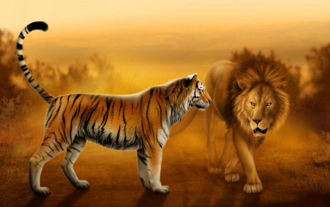 Обои картинки фото рисованное, животные, закат, встреча, грива, лев, хвост, тигр