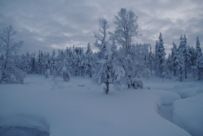 Обои картинки фото природа, зима, снег, деревья, лес, ручей, сугробы, финляндия, лапландия