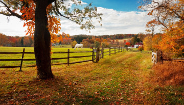 Картинка хантингдон-вэлли +пенсильвания +сша животные лошади деревья осень селение ограда луг