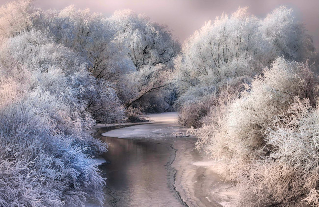 Обои картинки фото природа, реки, озера, лёд, река, зима, снег, деревья, иней