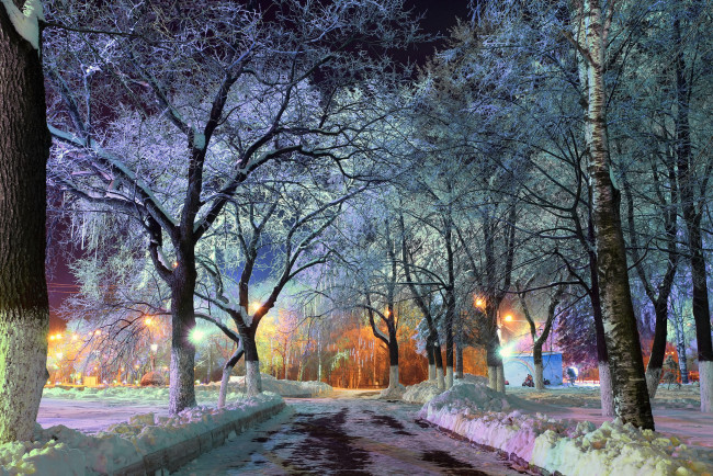 Обои картинки фото природа, зима, вечер, нью-йорк, иллюминация, центральный, парк, огни