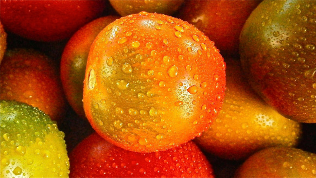 Обои картинки фото еда, помидоры, капли, томаты, макро