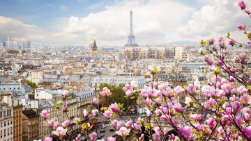 обоя города, париж , франция, весна, панорама, башня, магнолия