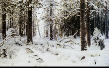 Картинка зима природа