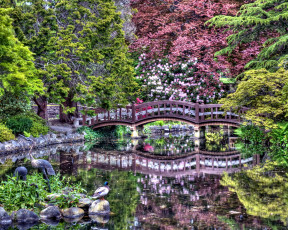 Картинка природа парк водоем мостик отражение цветы
