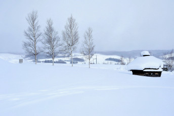 Картинка природа зима деревья дом снег