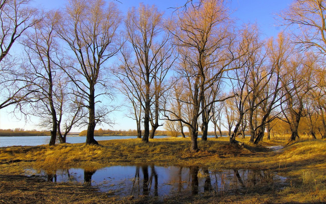 Обои картинки фото природа, деревья, река, осень