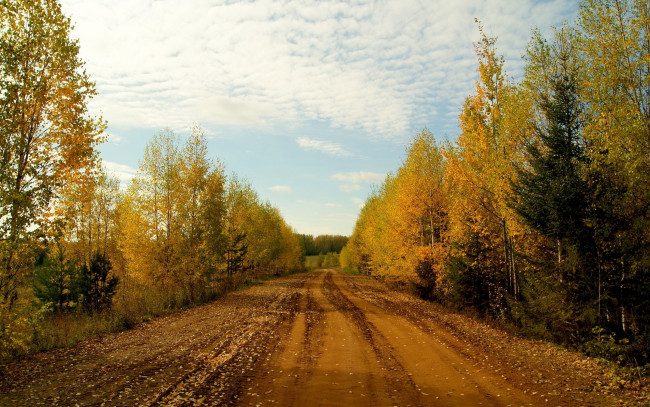 Обои картинки фото природа, дороги, осень, деревья