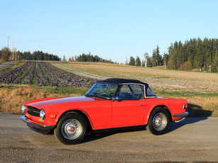 Картинка автомобили triumph tr6