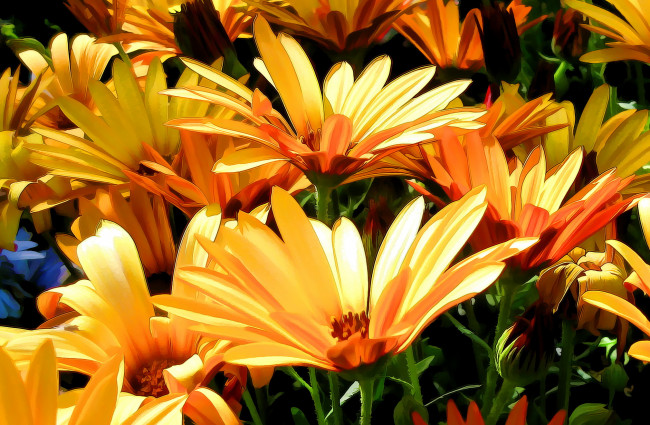 Обои картинки фото разное, компьютерный дизайн, оранжевые, цветы