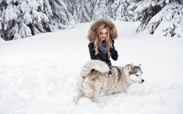 Картинка девушки -unsort+ блондинки блондинка девушка собака взгляд снег лес