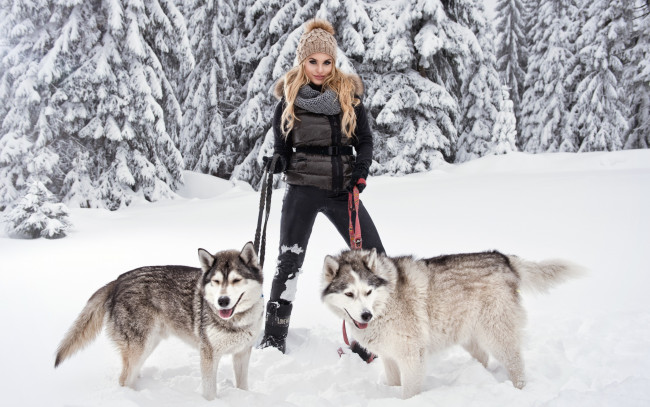 Обои картинки фото девушки, -unsort , блондинки, девушка, блондинка, поза, собаки, порода, хаски, снег