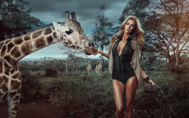 Обои картинки фото девушки, -unsort , блондинки, фон, жираф, взгляд, девушка