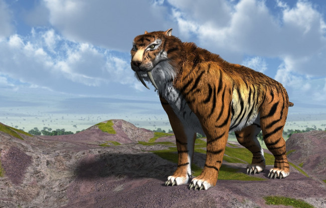 Обои картинки фото 3д графика, животные , animals, фон, смилодон, тигр