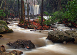 Картинка природа водопады лес река