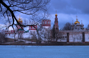 Картинка города -+православные+церкви +монастыри река зима ветки москва монастырь новодевичий дерево россия москва-река